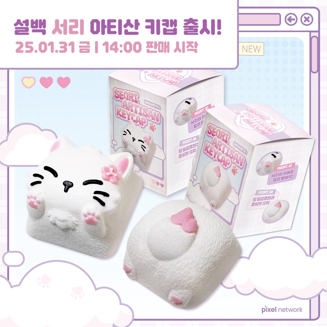 설백 tweet media