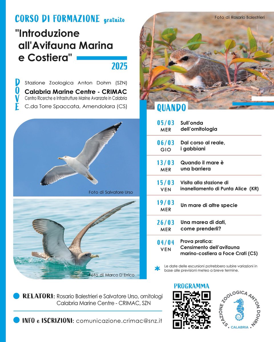 🌊Tuffati nell’ #ornitologia! Impara a riconoscere e segnalare il #mare di specie che caratterizza gli ambienti costieri e pelagici.
