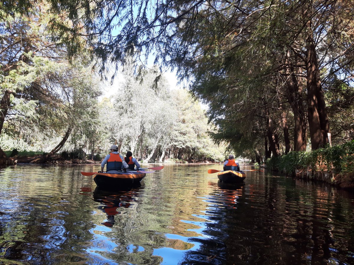 AcalliKayakClub's tweet photo. ☀️ Un día increíble en la Ruta del Toro 🚣‍♂️🌿
Hoy disfrutamos de un espectacular recorrido en kayak en el horario del día, donde el sol iluminó los canales y la naturaleza nos regaló una vista impresionante. 🌞💦 

#RutaDelToro #Kayak #AventuraNatural #Xochimilco #Naturaleza https://t.co/ec4o2mtxTf