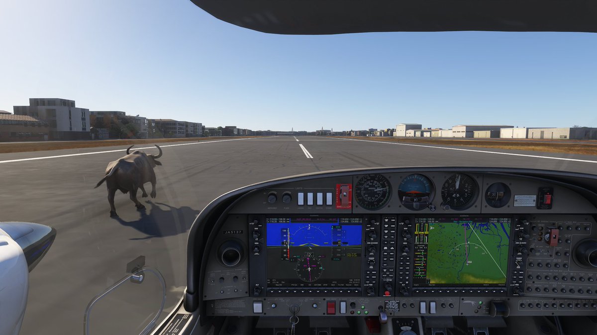 WhiteDearMonk's tweet photo. 今日も八尾には水牛🐃が

八尾→関空で #VNAV 練習中
#MSFS #MSFS2024 #FS2024 #XBOX
#RJOY #DA42 #DIAMOND https://t.co/my5xnpY5kD