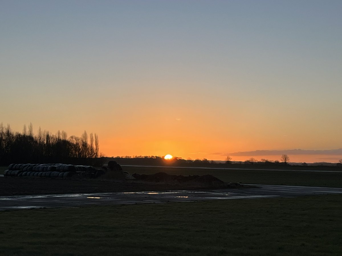 Graham Markham tweet media