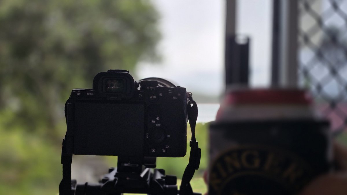 EmconBlack's tweet photo. From the Back Door #Photography #EmuExport #TFIF https://t.co/Zpt8YEh7Cf