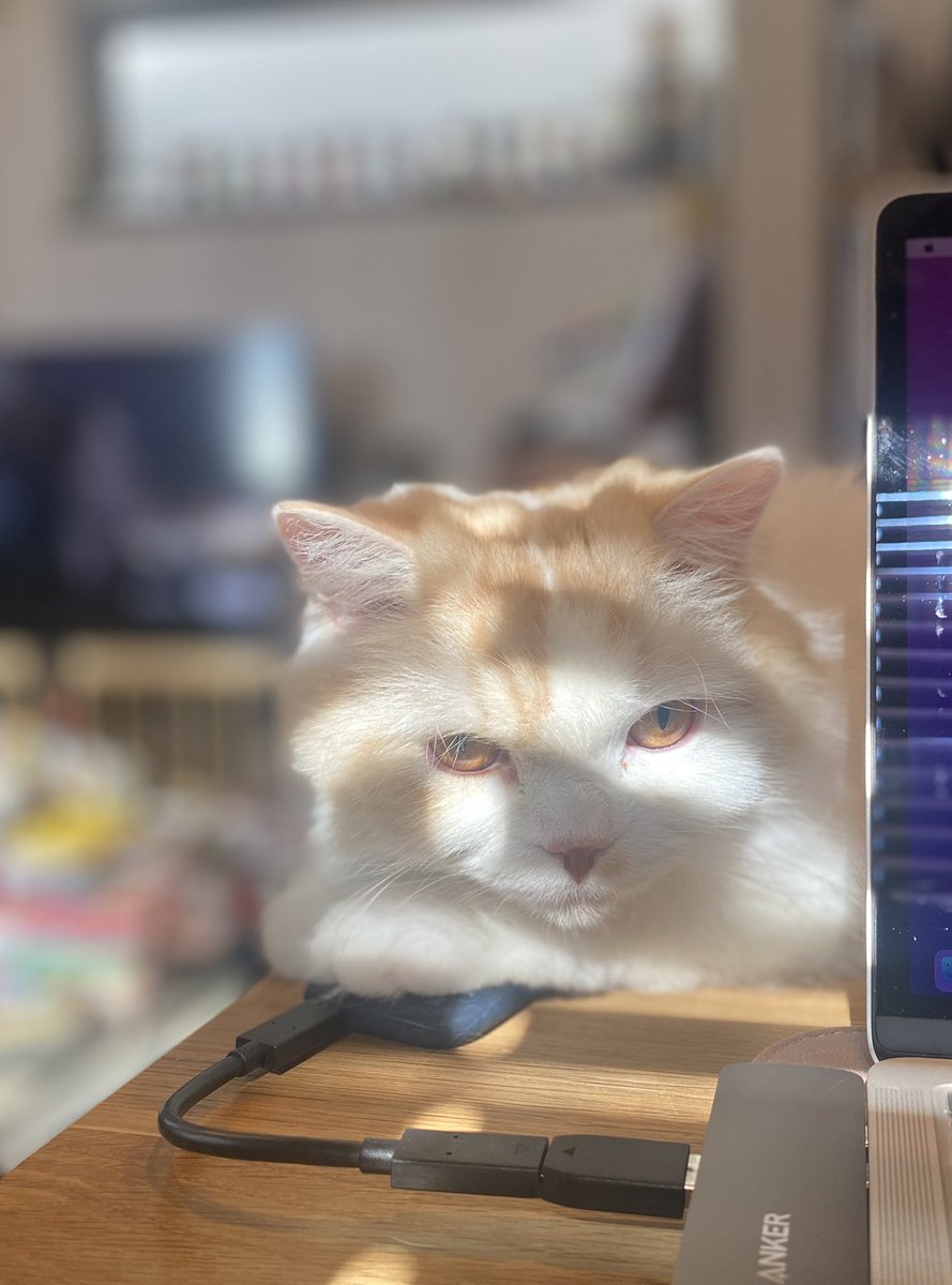 太陽気持ちいいね