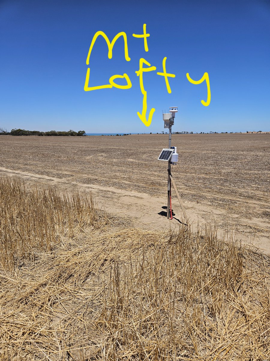 Leighton Wilksch tweet media