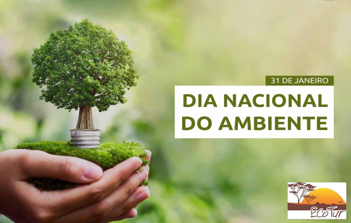 Today, January 31, is commemorated as the Angolan National Environmental Day. A date for reflection over the effects of our action on the environment.

Hoje, dia 31 de Janeiro, é comemorado o dia nacional do ambiente em Angola. Uma data de reflexão para os efeitos da nossa acção