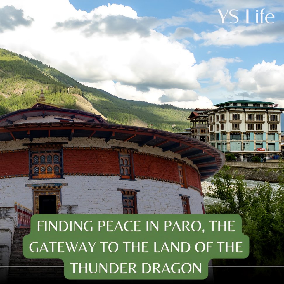 YourStory_LIFE's tweet photo. Finding peace in Paro Valley 🌿 Explore Drukgyel Dzong, Paro Dzong, and savor Bhutanese trout curry. End with a hot stone bath, surrounded by prayer flags and nature’s whispers.

Read more👇🏻
https://t.co/vDq114ZGn2

By Teja Lele

#Bhutan #TravelDiaries #ParoValley https://t.co/u6GViFJQTh