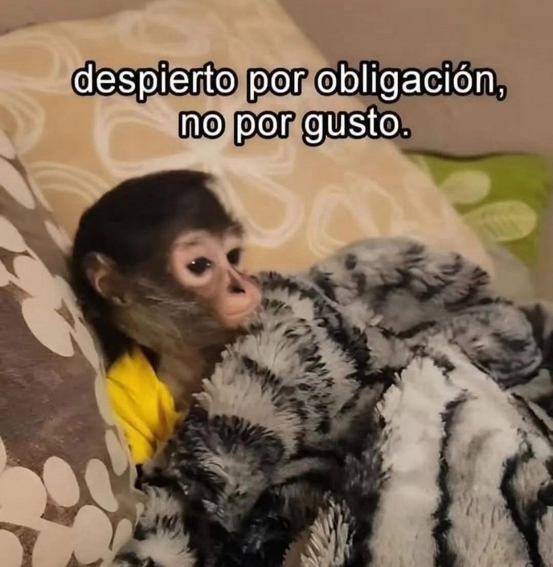 En Júpiter (@en_jupiter_) on Twitter photo 