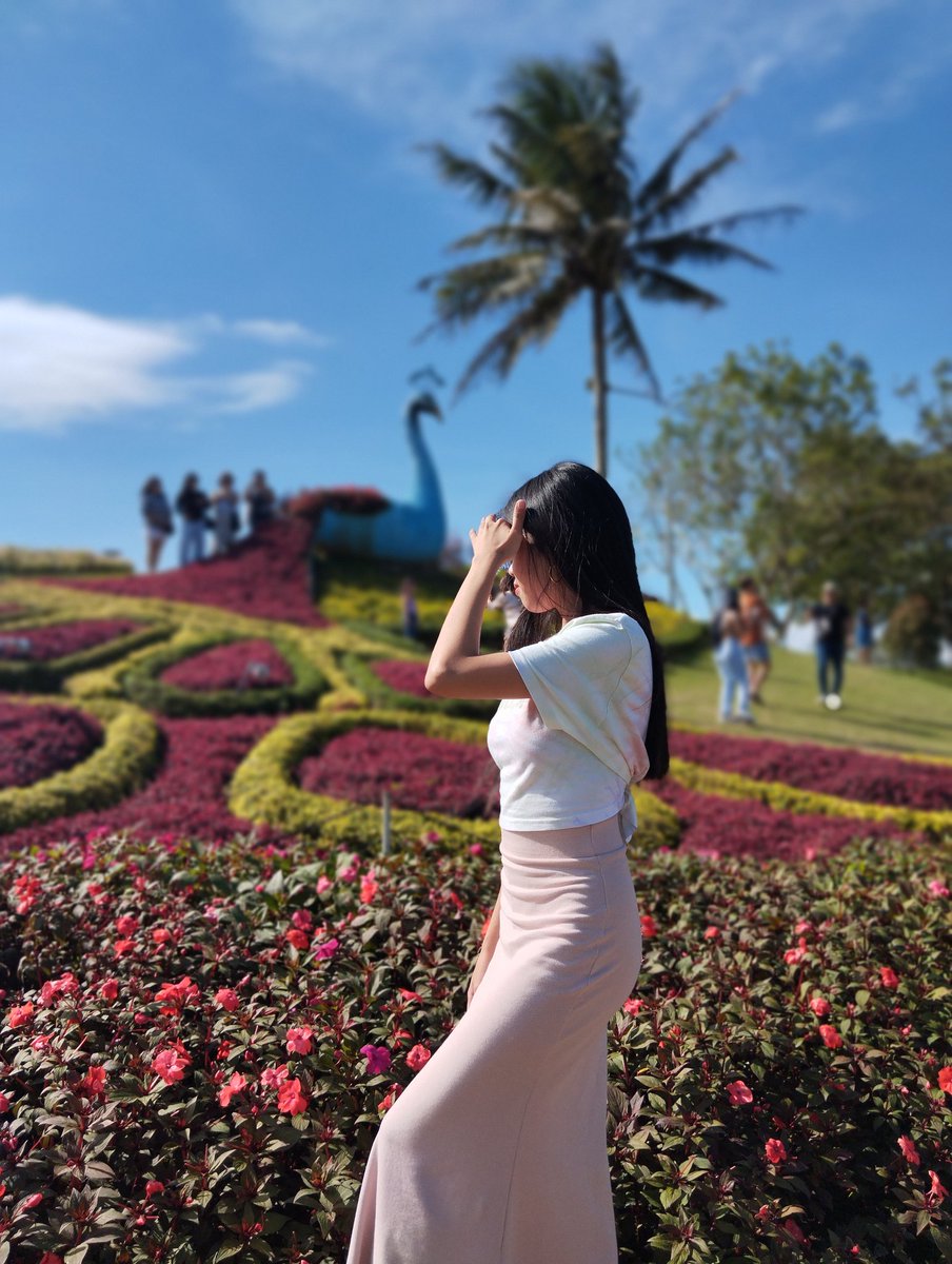 SuyenCarillo's tweet photo. PERLAS NG SILANG 🍃🌸🪻🌼🌻 https://t.co/JsaE2a5kZZ