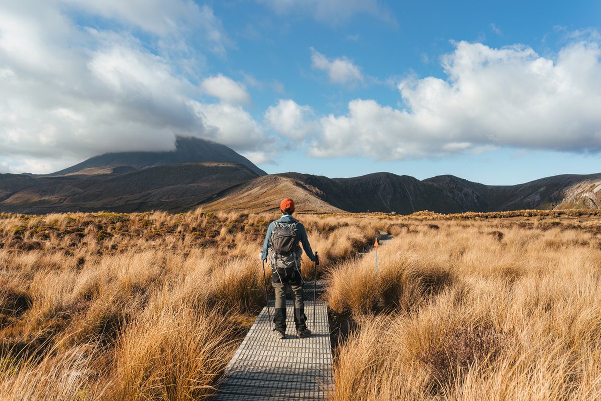_DriveAway_'s tweet photo. #Auckland is a treasure trove of experiences and a great starting hub for your NZ #roadtrip 🇳🇿

Whether you love art, nature, food, or all of the above, Auckland's dynamic atmosphere will leave you wanting more! https://t.co/x5i0lBcRs7
