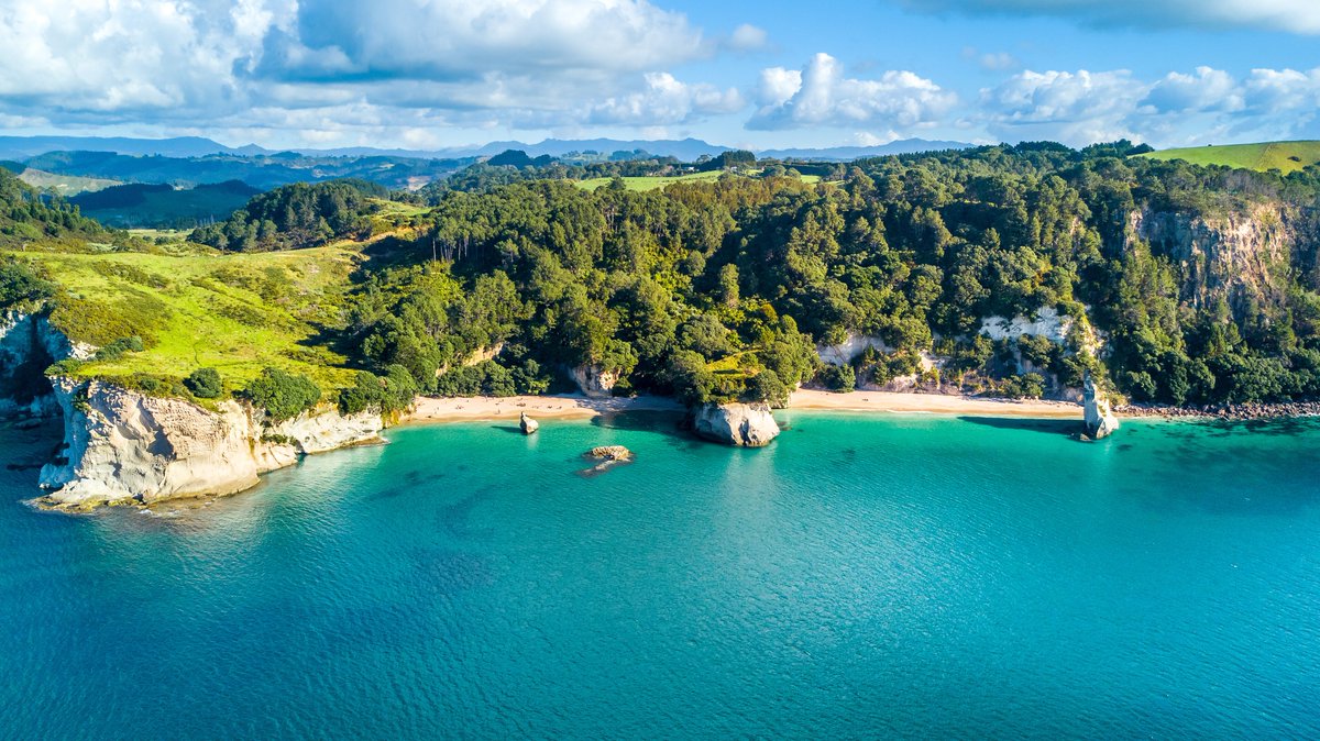 _DriveAway_'s tweet photo. #Auckland is a treasure trove of experiences and a great starting hub for your NZ #roadtrip 🇳🇿

Whether you love art, nature, food, or all of the above, Auckland's dynamic atmosphere will leave you wanting more! https://t.co/x5i0lBcRs7