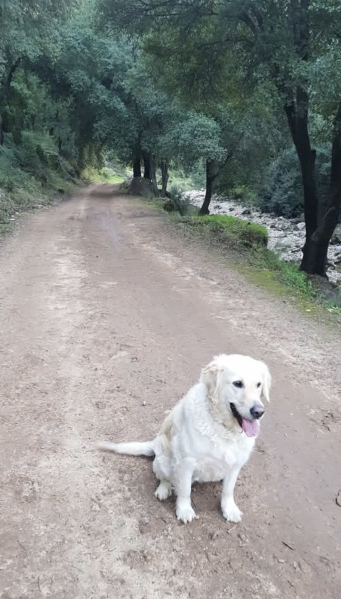 זאת אכן אותה הארץ,
זו אותה האדמה
ואותה פיסת הסלע
הנצרבת בחמה.
ומתחת לאספלט
לבנייני הראווה,
מסתתרת המולדת
ביישנית וענווה.

כל אישה ובת מדליקות נרות שבת🕯
שבת שלום🌿🕊