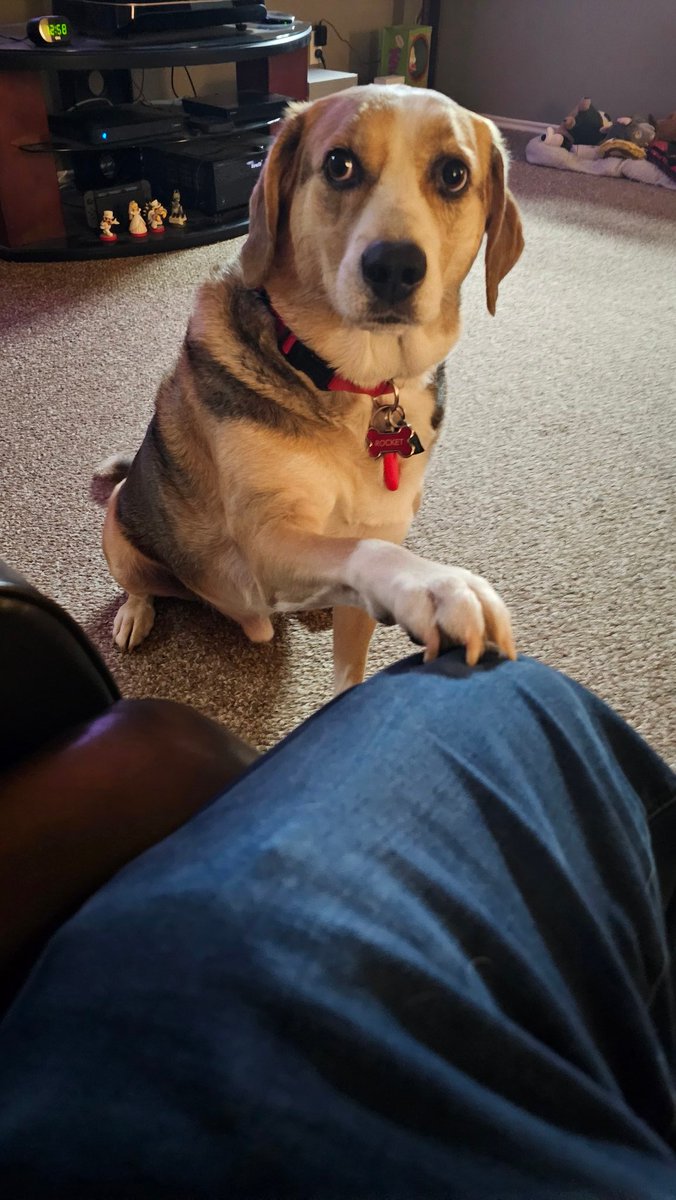 robobregon's tweet photo. The genuine love of a dog is unmatched. https://t.co/coRiJgSS6c