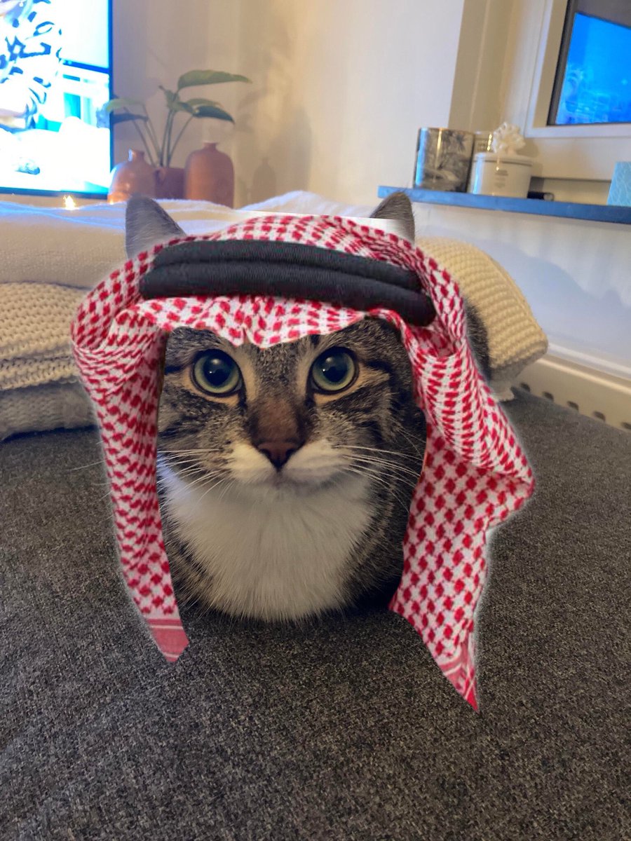 Mashallah $RMDN is rising🤲☪

CA: 6TC3Nj94aEFK7ZzZ5QWUk29aUeym4TQYcqntW4z8Q88x