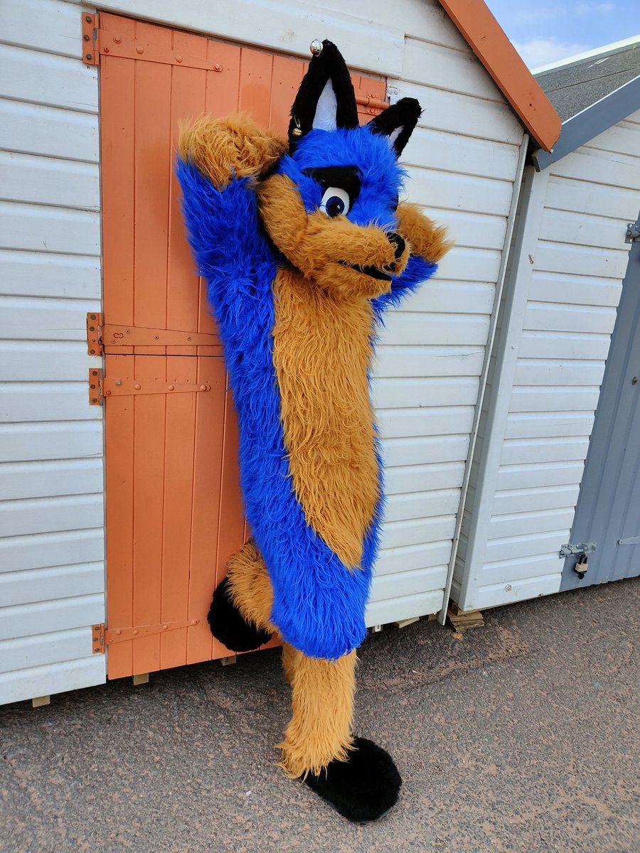 Hi there, want to see the inside of my beach hut? 😉
#FursuitFriday