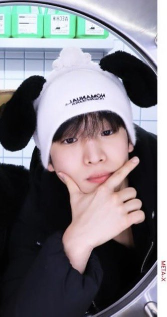 WhiskyChoom's tweet photo. 이 강아지 머에요 https://t.co/08aFSYqAgQ