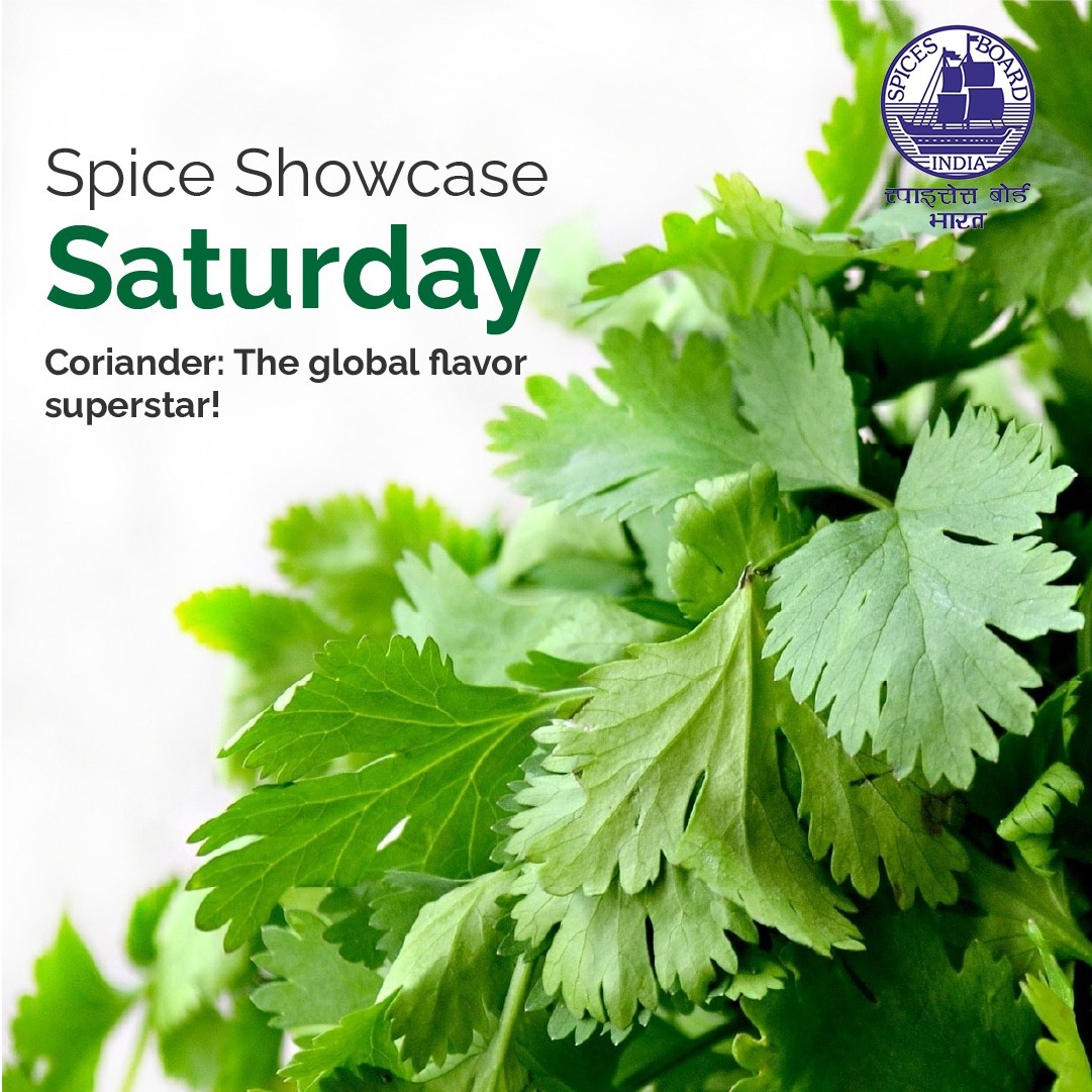 Spices_Board's tweet photo. From fragrant Indian curries to zesty Mexican salsas, this versatile spice adds magic to every dish.
@DoC_GoI 
#SpiceShowcase #CorianderLove #GlobalFlavors #SaturdaySpiceVibes https://t.co/lTR9msEWh4