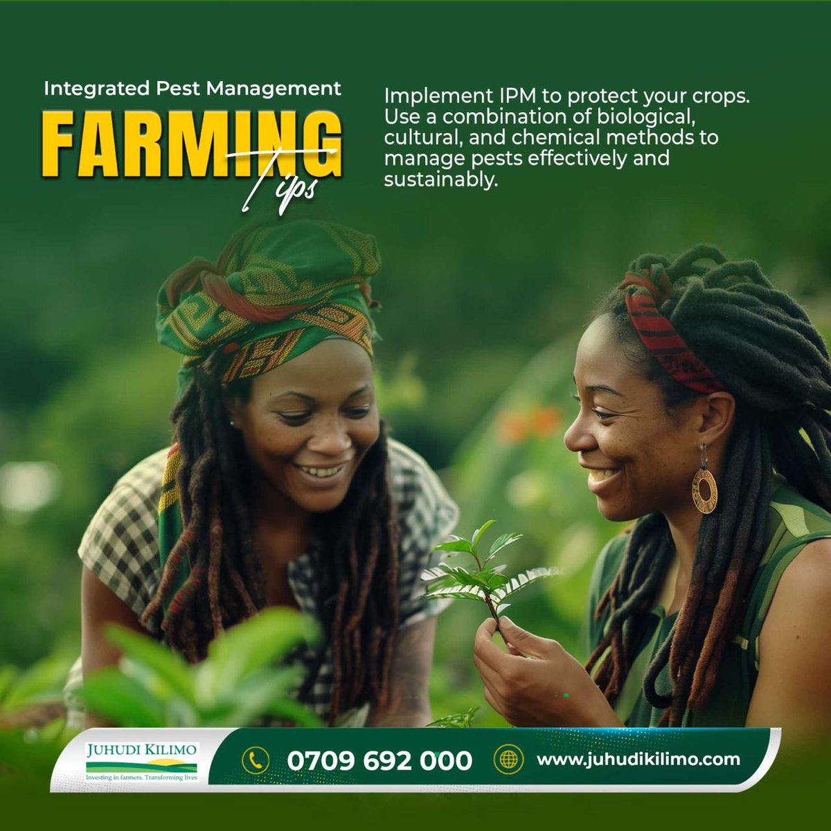 For healthy crops, practice Integrated Pest Management (IPM)! Combine biological, physical, and chemical methods to control pests while minimizing environmental harm. Protect your crops sustainably and boost your yield!

#JuhudiKilimo #FarmingTips #SustainableFarming