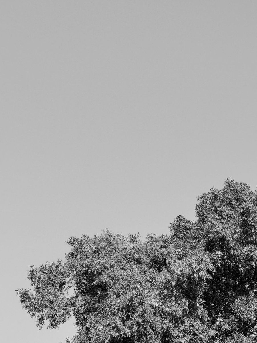 Ahmad Ashkanani tweet media