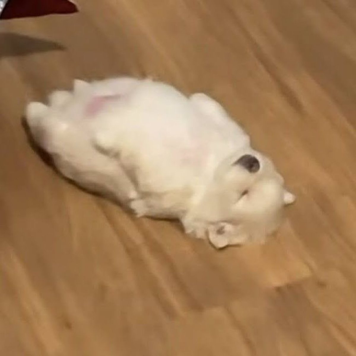 lostyouinmay's tweet photo. mood กุในเดือนมกราคม : เงินหมด เหนื่อยชิบหาย ไม่มีแล้ว new year new me https://t.co/4lVioLar5V