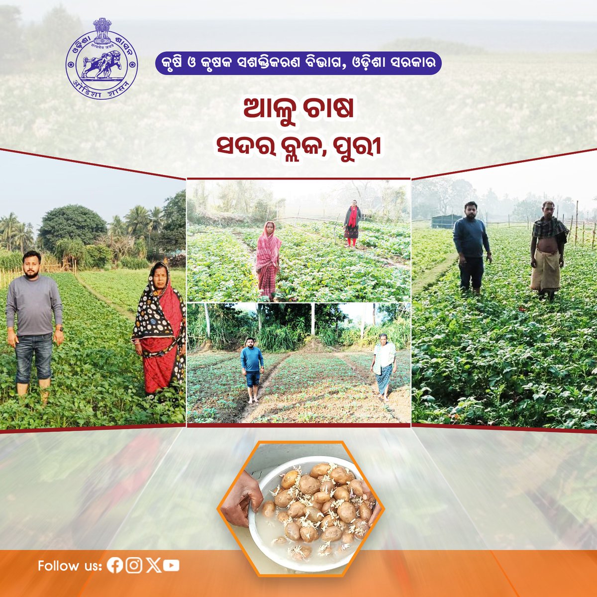 କୃଷି ବିଭାଗ, ଓଡ଼ିଶା tweet media