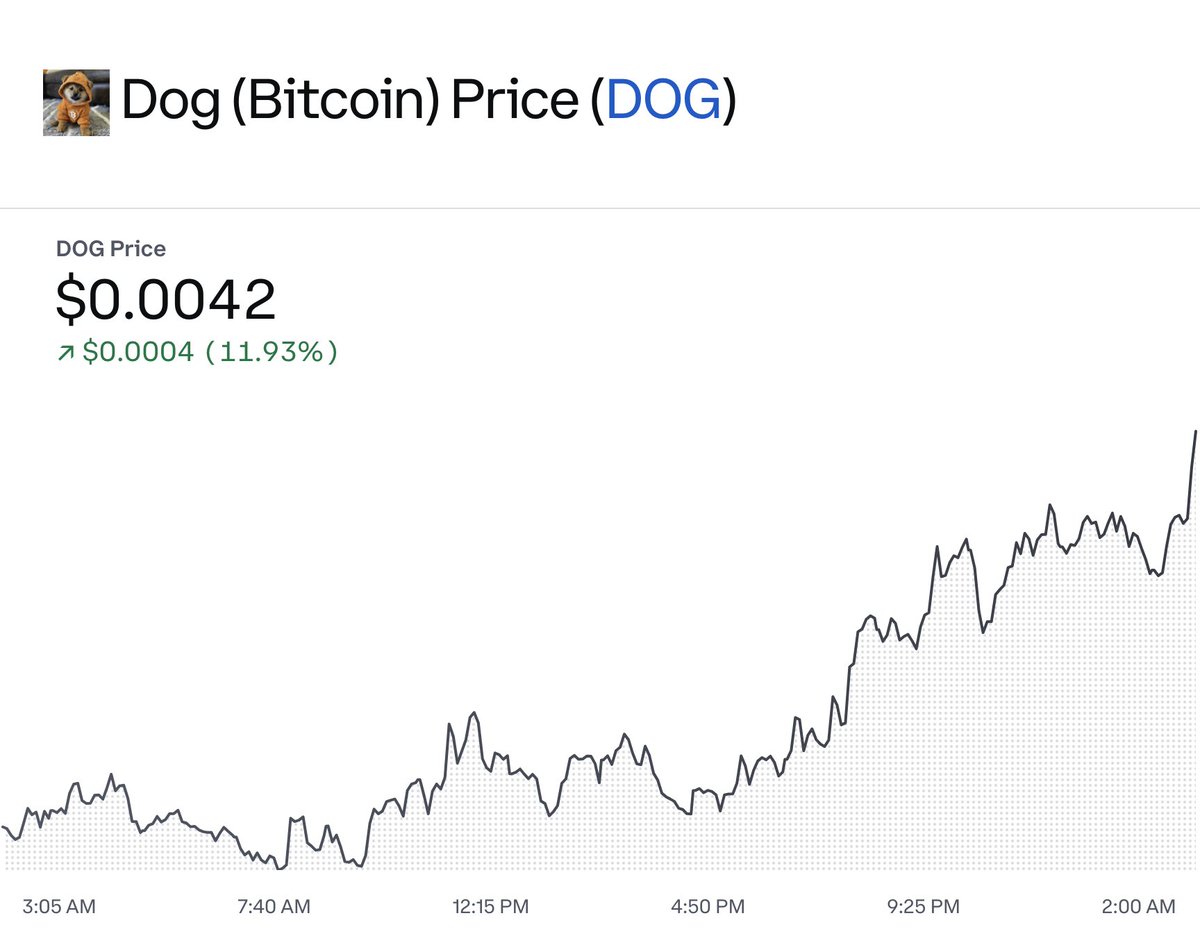 Leonidas 🧡 $DOG tweet media