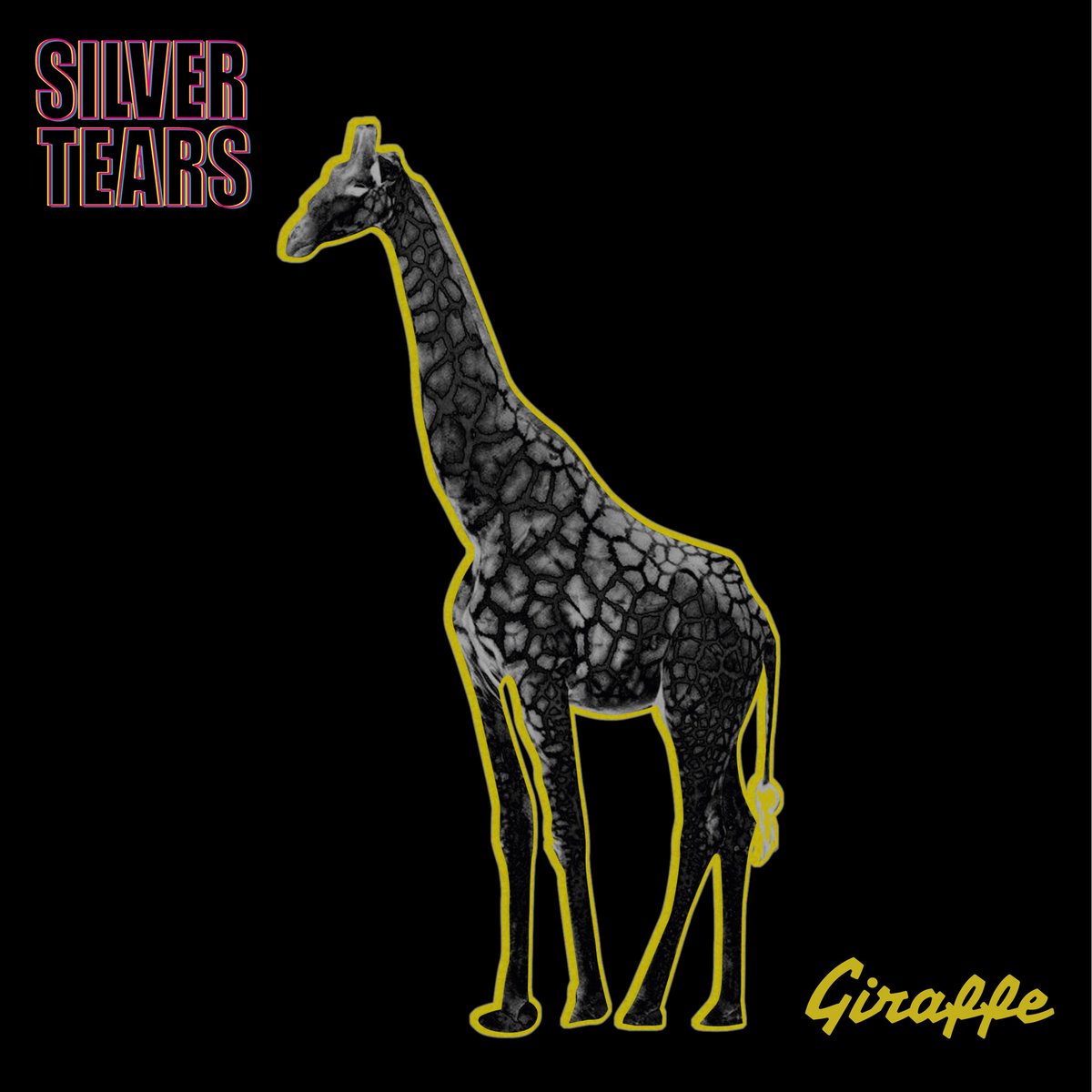 Out today is Giraffe, the new album from Silver Tears: 10 wonky love songs from Anthony Keen &amp; co, available on CD from their Bandcamp and streaming everywhere NOW!! CD orders here:
silvertears1.bandcamp.com/album/giraffe
Video here: youtu.be/vCHhQtEEijQ