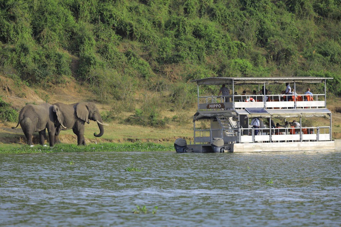 4 Days Gorilla and Wildlife Safari-Boat Criose at Kazinga Channel 