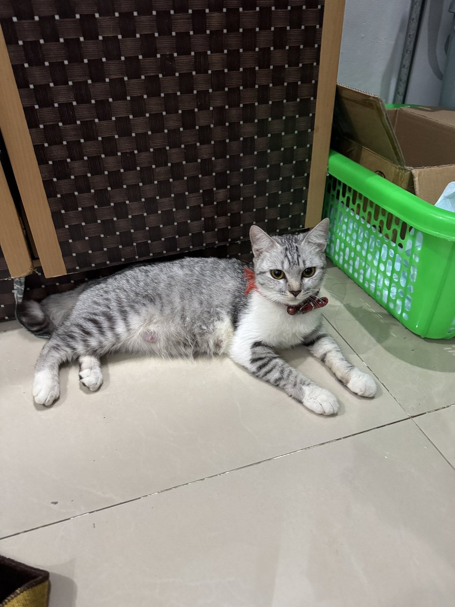 ayanisadtwin's tweet photo. @tinaberkata Pas masih di kos 🥹🥹🥹 https://t.co/IpxA9gstlO