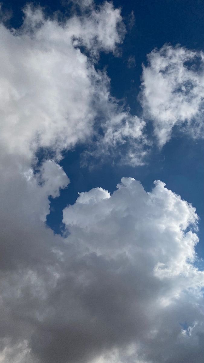 January / 31
- وكأنها مواساة ربّانية 💙.