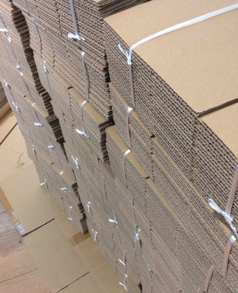 公式】リトル・サイエンティスト (@ls_meister) / Posts / X