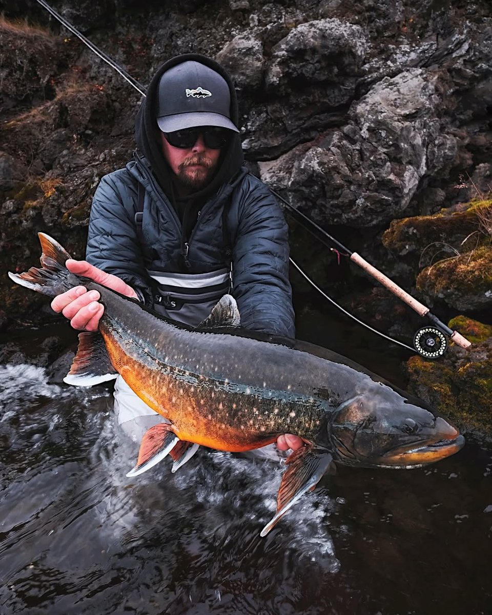 86Ali3's tweet photo. Name the fish! https://t.co/imijtQwach