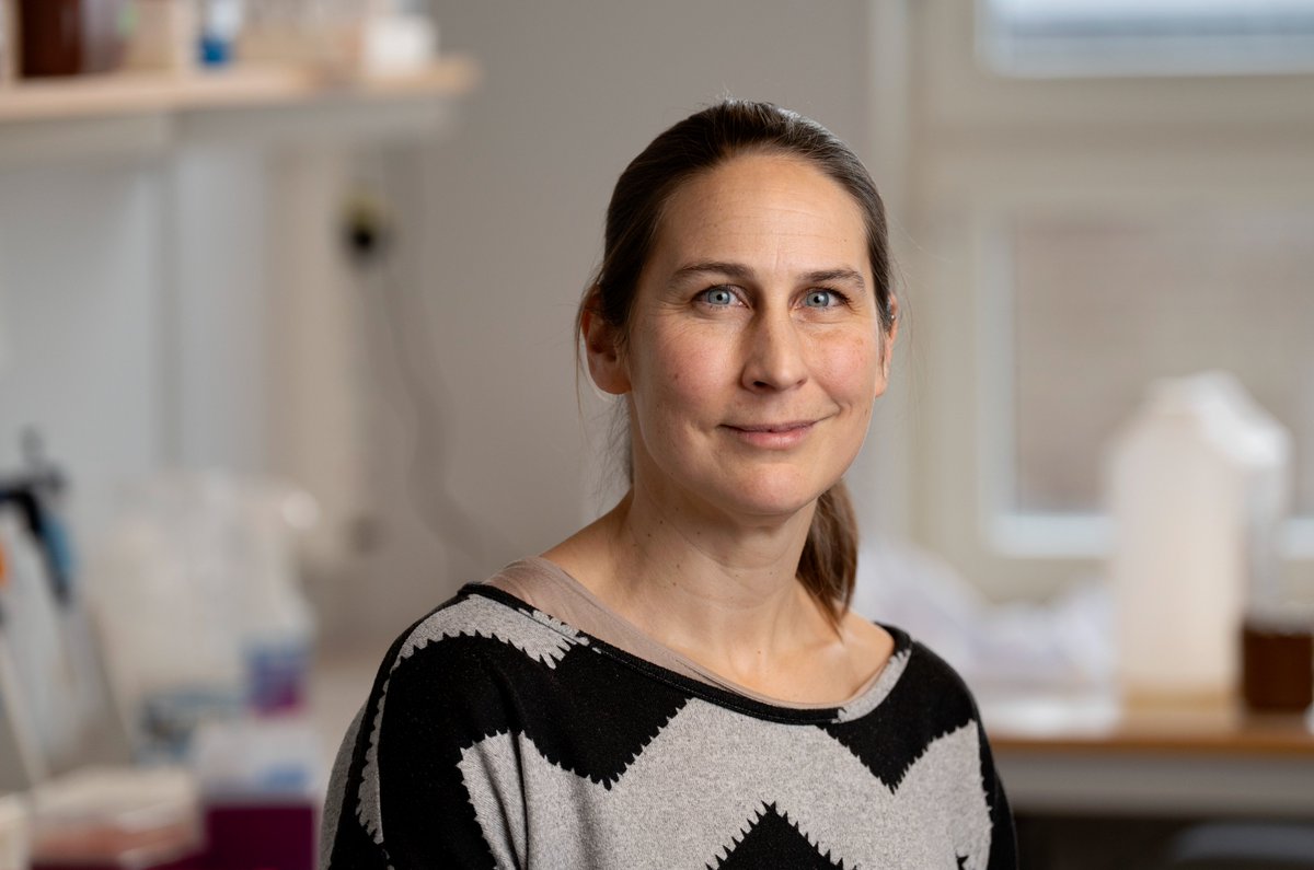 DiabetesLUDC (@diabetesludc) on Twitter photo ✨Our warmest congratulations to Ingrid Wernstedt Asterholm at Sahlgrenska Academy, University of Gothenburg, who is this year’s recipient of the Leif C. Groop Award for Outstanding Diabetes Research 👏 Read more: ludc.lu.se/article/ingrid…
#diabetes <a href="/goteborgsuni/">Göteborgs universitet / University of Gothenburg</a> <a href="/lunduniversity/">Lund University</a> ✨Our warmest congratulations to Ingrid Wernstedt Asterholm at Sahlgrenska Academy, University of Gothenburg, who is this year’s recipient of the Leif C. Groop Award for Outstanding Diabetes Research 👏 Read more: ludc.lu.se/article/ingrid…
#diabetes <a href="/goteborgsuni/">Göteborgs universitet / University of Gothenburg</a> <a href="/lunduniversity/">Lund University</a>