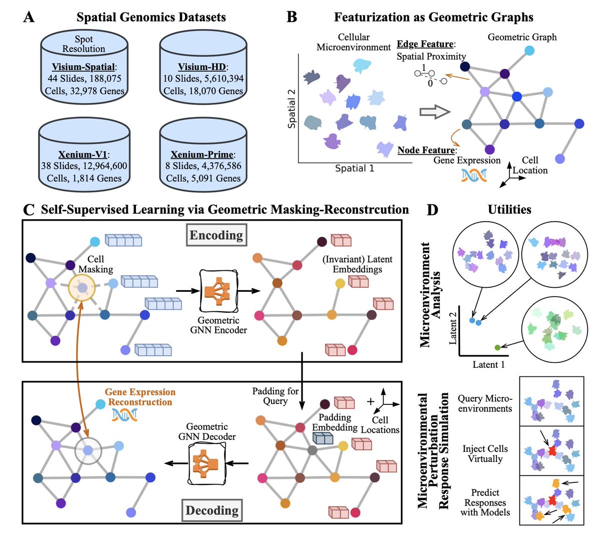 BiologyAIDaily's tweet image. Building Foundation Models to Characterize Cellular Interactions via Geometric Self-Supervised Learning on Spatial Genomics

1. Cellular interactions are at the core of tissue function and disease. This study introduces the Cellular Interaction Foundation Model (CI-FM), a…
