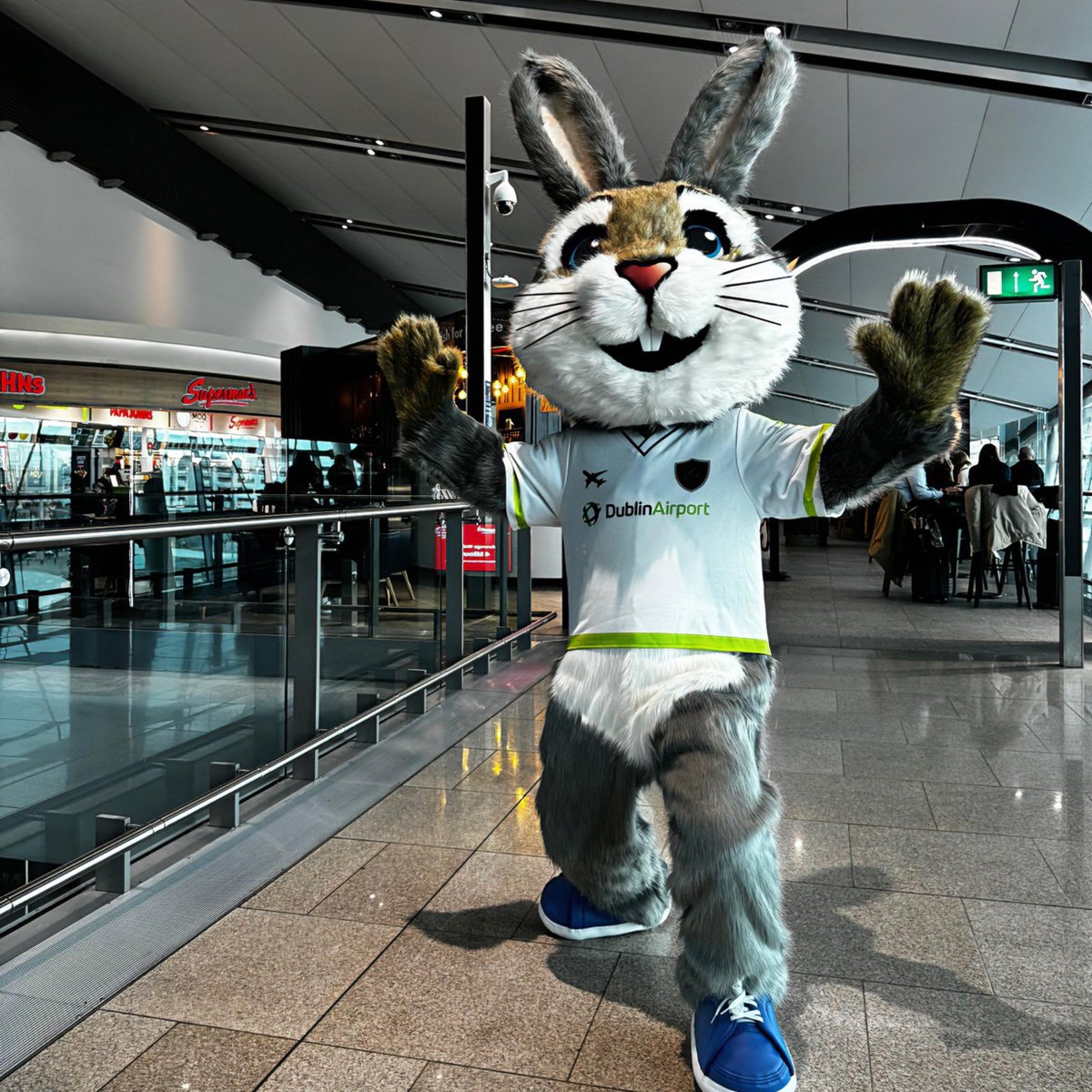 Dublin Airport tweet media