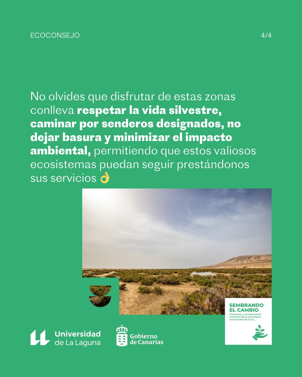ULL's tweet photo. 🌱 ¿Conoces la importancia de los humedales? ¿Has visitado alguno en Canarias?

En este nuevo #ecoconsejo lo sabrás. Por cierto, este 2 de febrero se celebra su día mundial. Celébralo cuidando estos ecosistemas. 😉

Fuente 📱 https://t.co/cUPaX1nIAH https://t.co/nBiLZmFhlo