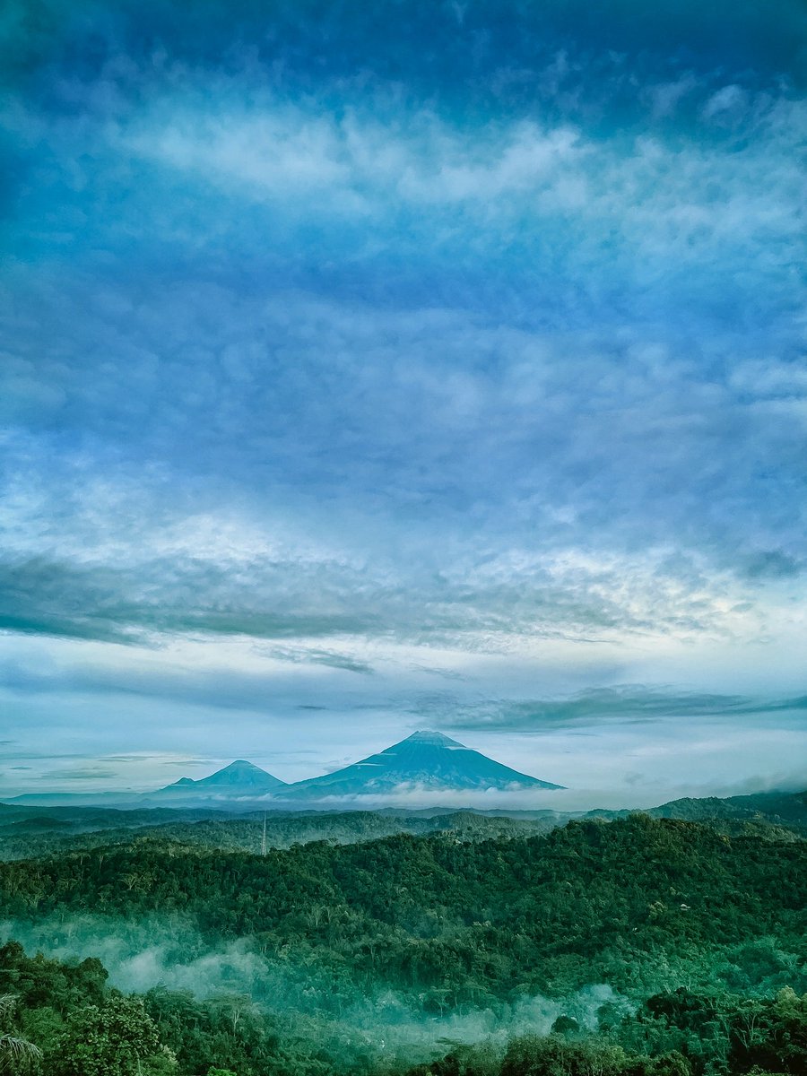 Mas Febry tweet media