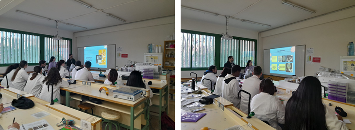 MicroMónUJI tweet media