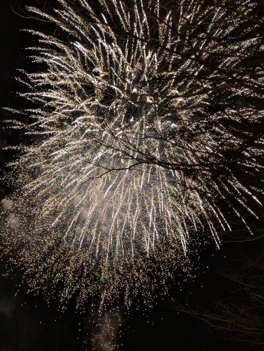 to3ka__'s tweet photo. 花火ぃ。 https://t.co/lTdPlq1b9b