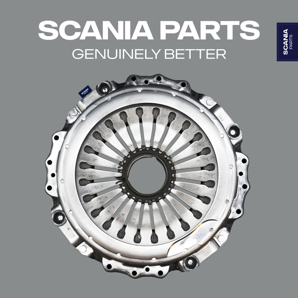 West Pennine Trucks (@scaniawpt) on Twitter photo Nothing beats the genuine thing 🚛 ⚙
If you need support with your #Scania, our dedicated parts teams are here to help with genuine parts.
Speak to your local #parts team, to keep your operation moving 📞
Visit westpenninetrucks.com for more info.
<a href="/BallyveseyLtd/">Ballyvesey Holdings Ltd</a> Nothing beats the genuine thing 🚛 ⚙
If you need support with your #Scania, our dedicated parts teams are here to help with genuine parts.
Speak to your local #parts team, to keep your operation moving 📞
Visit westpenninetrucks.com for more info.
<a href="/BallyveseyLtd/">Ballyvesey Holdings Ltd</a>