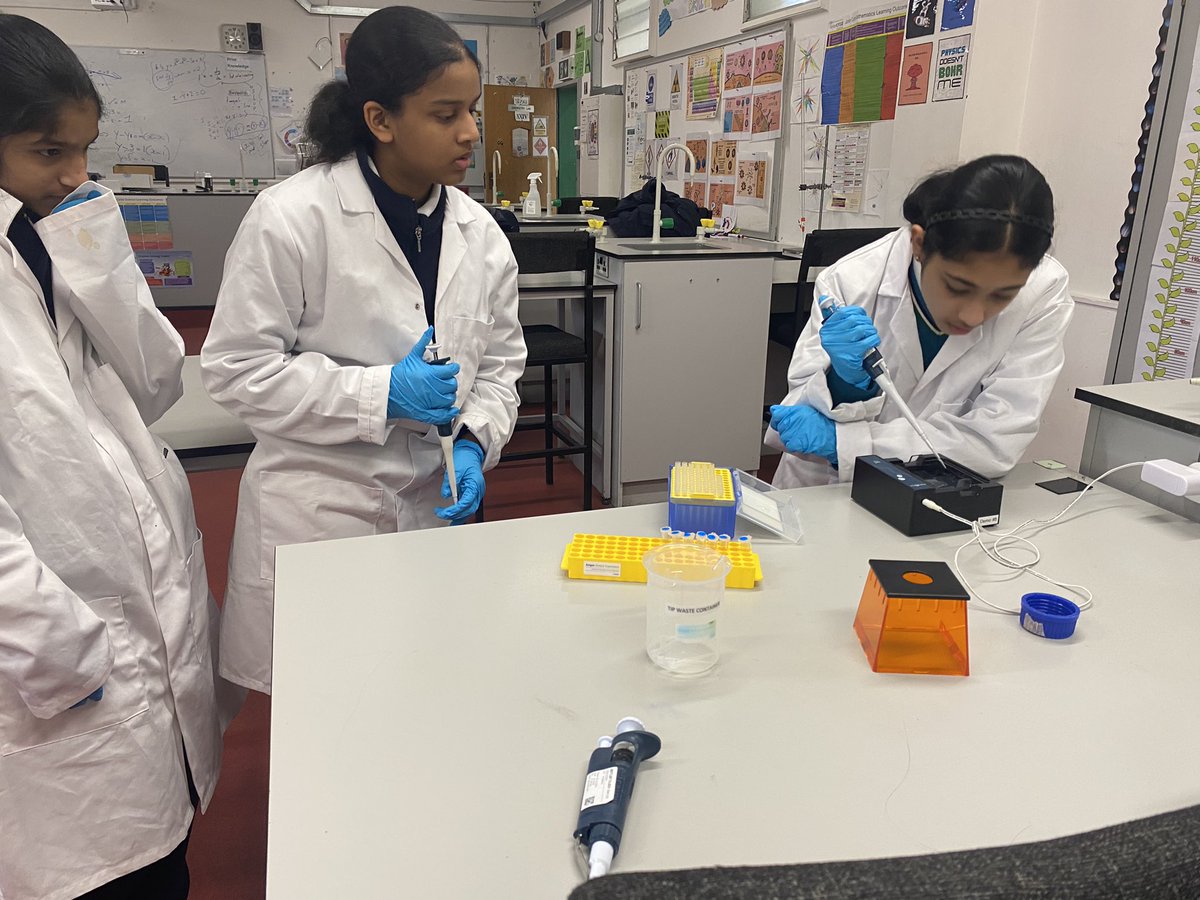 Science in St Paul's @stpaulsgscience (@stpaulsgscience) on Twitter photo Our <a href="/stpaulsg/">St Paul's Greenhills</a> 5th years finished up their analysis of plasmid DNA using Restriction enzymes and DNA Ligase today. thanks to <a href="/abe_ireland/">Amgen Biotech Experience Ireland</a> for this incredible kit 🧬👩🔬😍 Our <a href="/stpaulsg/">St Paul's Greenhills</a> 5th years finished up their analysis of plasmid DNA using Restriction enzymes and DNA Ligase today. thanks to <a href="/abe_ireland/">Amgen Biotech Experience Ireland</a> for this incredible kit 🧬👩🔬😍