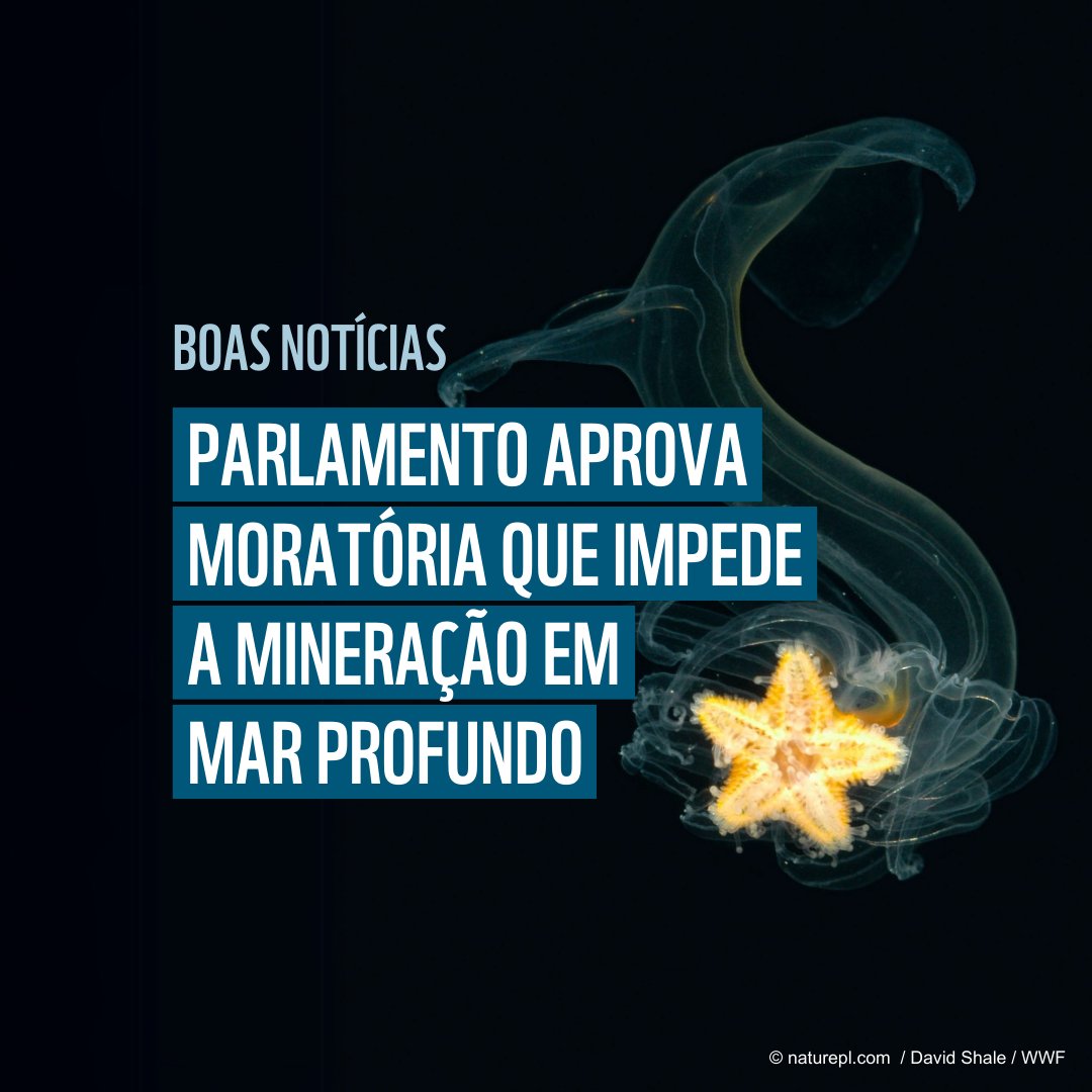 🎉 O Parlamento votou a favor da moratória que impede a mineração em mar profundo em águas portuguesas!

Esta decisão é um grande passo para proteger ecossistemas únicos e a saúde do nosso planeta.