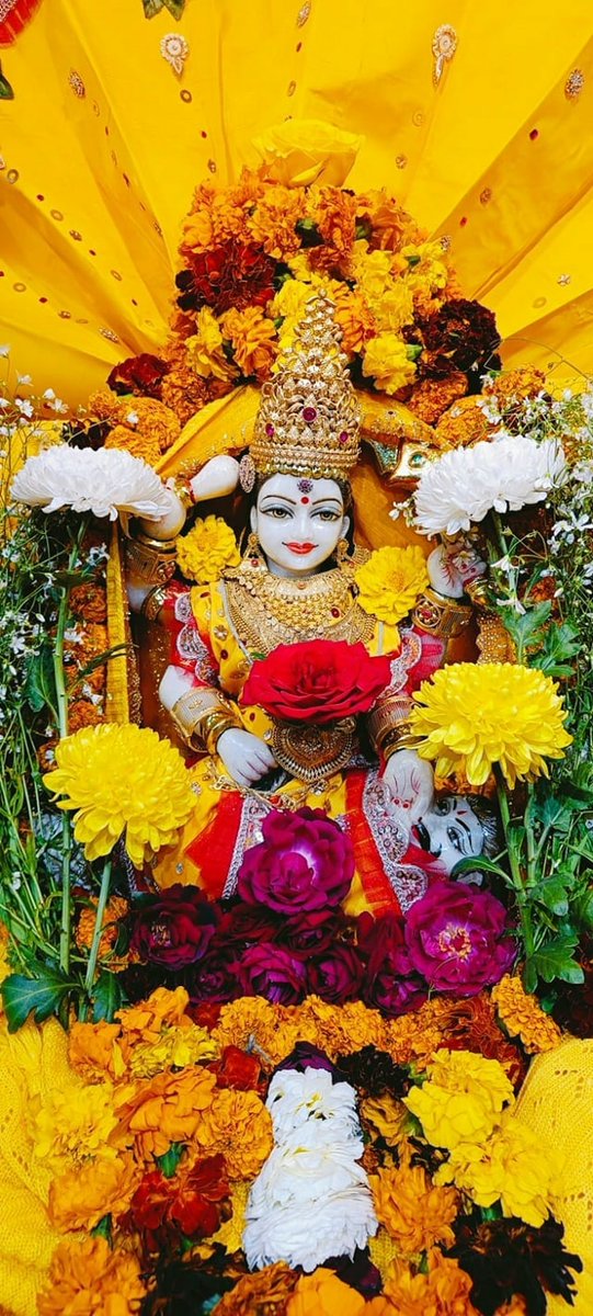 Maa BaglaMukhi Mandir tweet media
