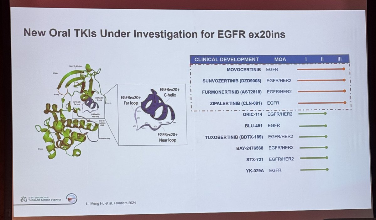 Stephen V Liu, MD (@stephenvliu) on Twitter photo State of the art for #EGFR Econ 20 from Dr. <a href="/NReguart/">Noemi Reguart</a> at #ITCD2025. Not all mutations are the same here! PAPILLON established amivantamab + chemo as our 1L standard. But TKIs hoping to make an impact. State of the art for #EGFR Econ 20 from Dr. <a href="/NReguart/">Noemi Reguart</a> at #ITCD2025. Not all mutations are the same here! PAPILLON established amivantamab + chemo as our 1L standard. But TKIs hoping to make an impact.