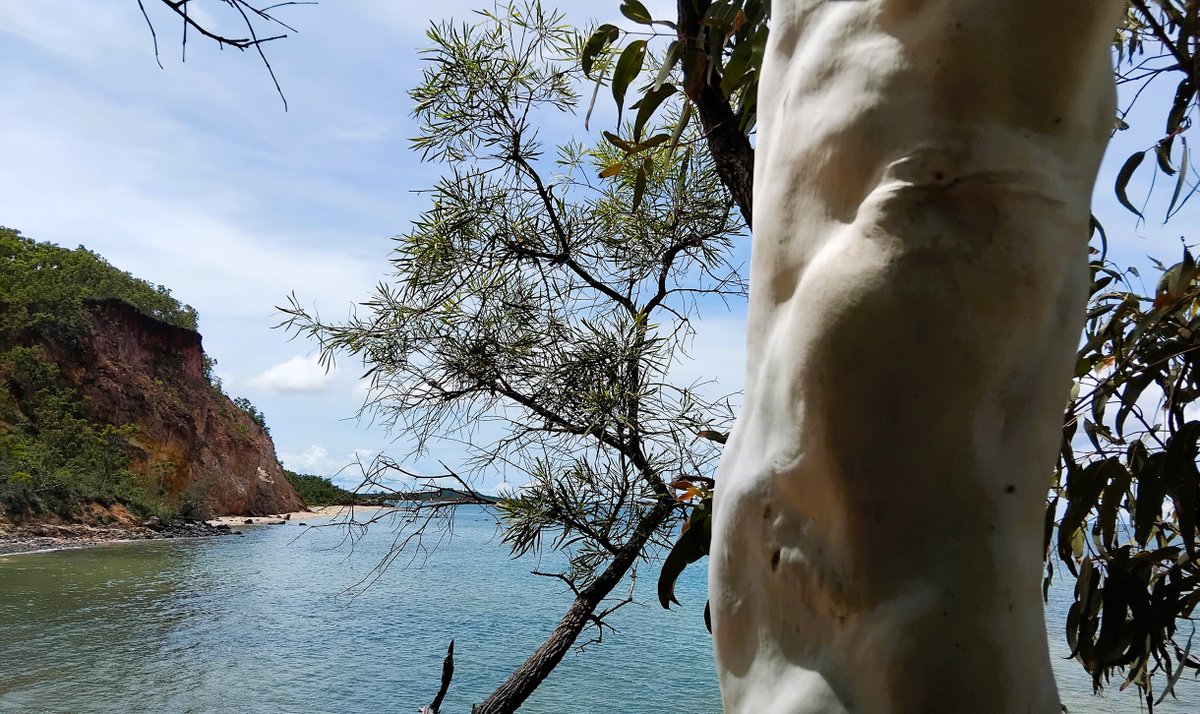 360_Hikes's tweet photo. Rainbow Cliffs
Gove Peninsula/ Northern Territory

#hiking #northernterritory #naturelovers https://t.co/uhPXXDbNxQ