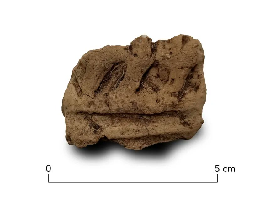 RAAPerfgoed's tweet photo. In Lisse vonden archeologen van RAAP voorwerpen die waarschijnlijk teruggaan tot de #steentijd! Onder de vondsten zaten o.a. resten van houten huizen, scherven aardewerk en een stuk natuursteen dat in de vorm van een bijlblad was geslepen https://t.co/Dsc7MPMEuv https://t.co/cyJ8ZdPPtg