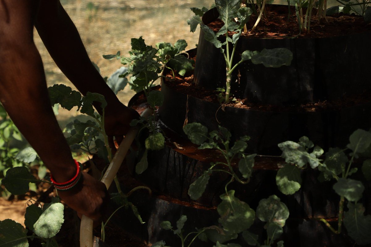 SamburuWtrust's tweet image. Busy work at Sieku Indigenous Women Arboretum.
Creating a dream and hope for the indigenous women at the remotest and extremely dry parts of Isiolo County.