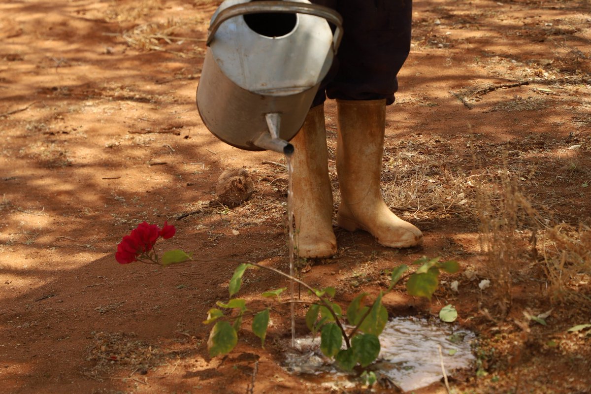 SamburuWtrust's tweet image. Busy work at Sieku Indigenous Women Arboretum.
Creating a dream and hope for the indigenous women at the remotest and extremely dry parts of Isiolo County.