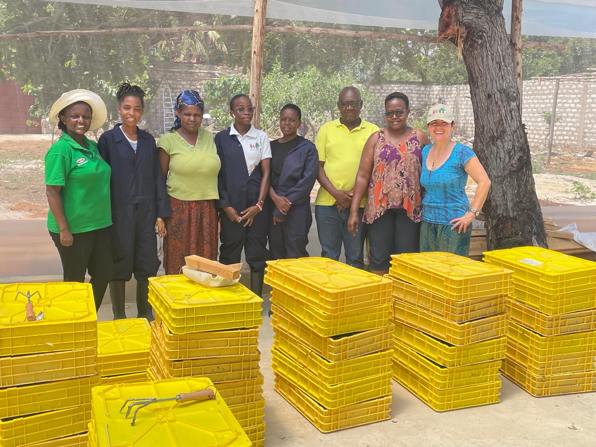 heri__kenya's tweet photo. 🚨 Big News! 🚨
Our women-led Black Soldier Fly (BSF) Farm is officially launched in Diani!🐛
Turning organic waste into high-protein feed &amp; organic fertilizer while empowering women.♻️🐔
Stay tuned as we share more about BSF farming, our journey, and its impact!
#HERIBSFFarm https://t.co/4jgNXij2cC