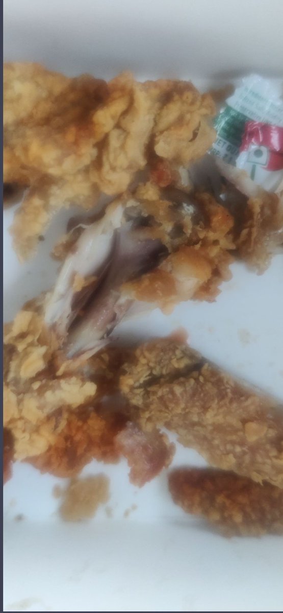 MountainFox77's tweet photo. @KFC_India @kfc gives rotten and stale chicken to customer ,when chicken is given to the dog,he refused.This shows how bad chicken was given nd if you complain,they won't accept fault. Please Stay away from companies for whom chicken worth Rs127 is more than value of a man's life https://t.co/4FfsmWXoVk