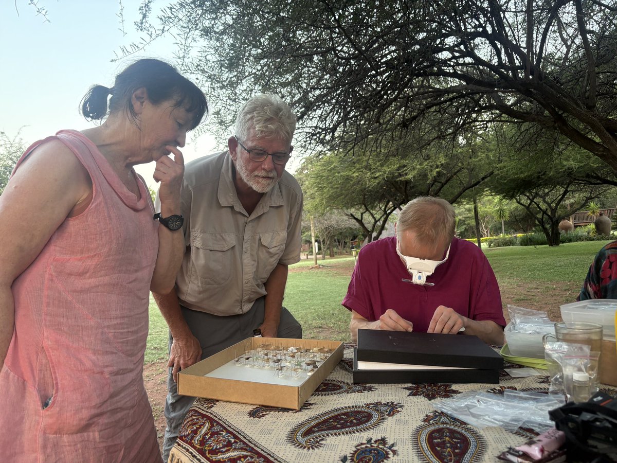 pritha126's tweet image. The 12th @ForumHerbulot just concluded!
I have known these people since I began studying moths, who taught me a lot, and now I can affectionately say they are friends :)
A wonderful week spent amidst South African moths and hospitality!